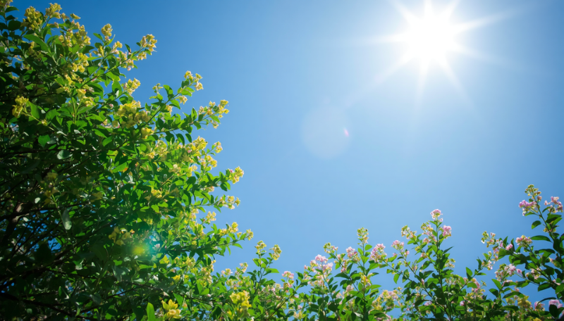 実は6月は「髪が老けて見えやすい」時期です