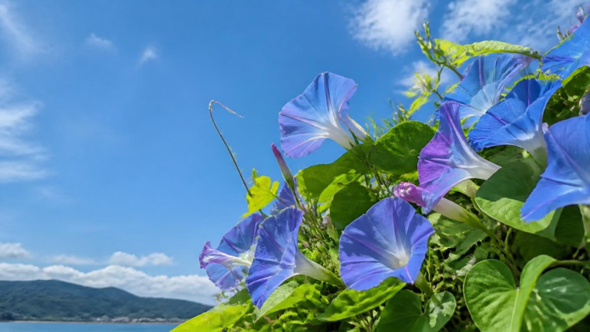 秋に後悔しないために、8月から始めたい美髪習慣