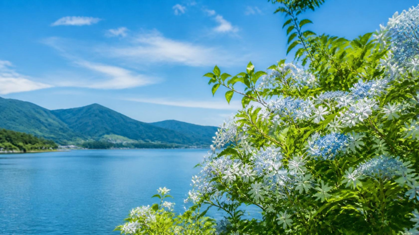 夏の終わりに毛先がパサつく理由