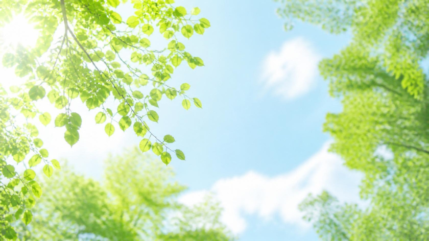 夏こそヘッドスパがおすすめな理由